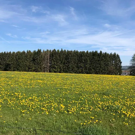 Am Wald Hachenburg