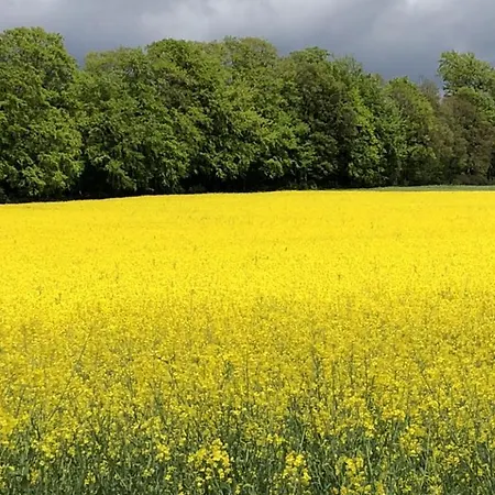 Am Wald Apartamento *