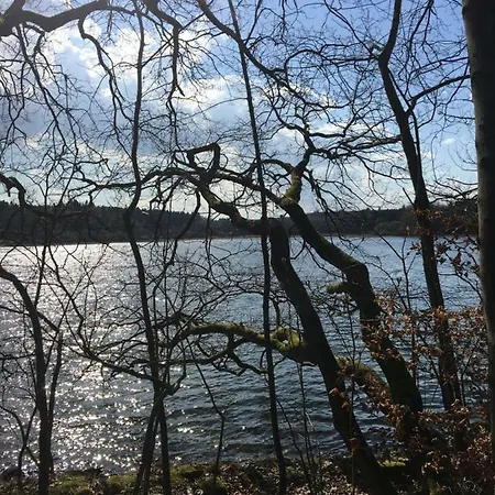 Am Wald Apartment
