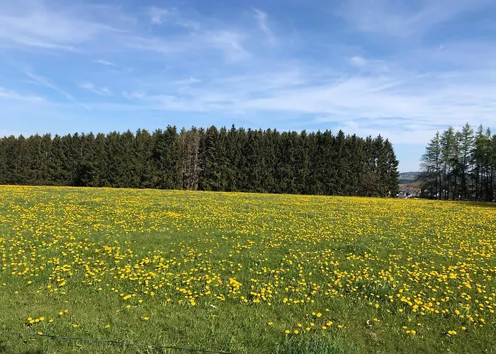 Am Wald הכנבורג